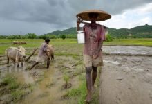 Assam: Sonowal cabinet approves Rs 600 crore farm loan waiver