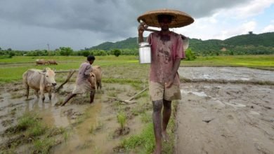 Assam: Sonowal cabinet approves Rs 600 crore farm loan waiver