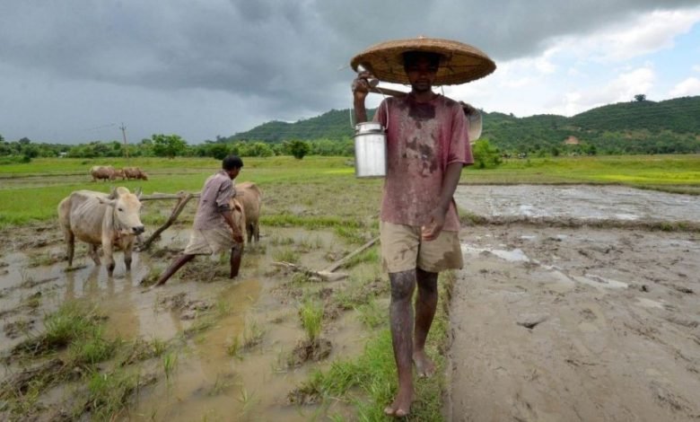 Assam: Sonowal cabinet approves Rs 600 crore farm loan waiver