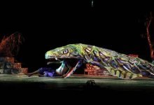 Assam: Basanta-Bobby’s splended Raas Leela concludes