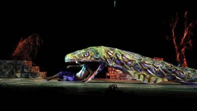 Assam: Basanta-Bobby’s splended Raas Leela concludes