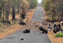 Naxal attacks in Gadchiroli: 15 commandos, driver killed