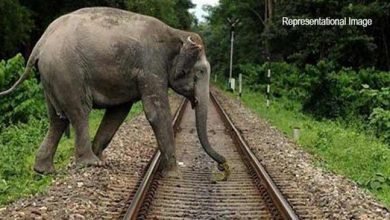 Assam: Lachit Express hit an Elephant near Gogamukh 
