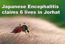 Assam: Japanese Encephalitis claims 6 lives in Jorhat