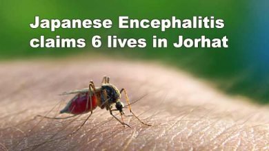 Assam: Japanese Encephalitis claims 6 lives in Jorhat