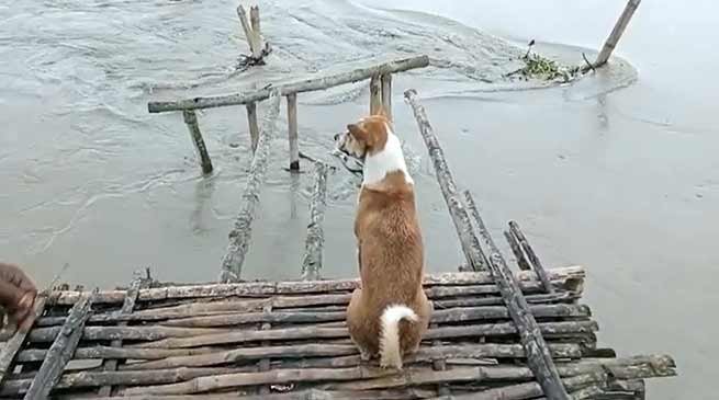 Assam Flood update: 11 dead, 26 lakh affected