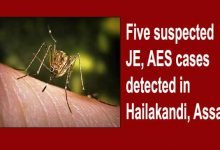 Assam:  Five suspected JE, AES cases detected in Hailakandi