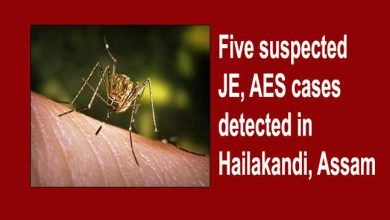 Assam:  Five suspected JE, AES cases detected in Hailakandi