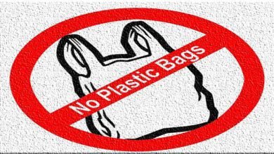Assam: Hailakandi administration bans use of plastic bags, items