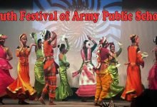 Assam: Youth Festival of Army Public Schools held at APS Narangi