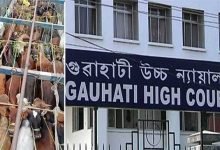 Assam Cattle Syndicate: PIL filed at GHC seeking CBI enquiry