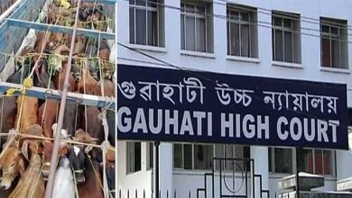 Assam Cattle Syndicate: PIL filed at GHC seeking CBI enquiry