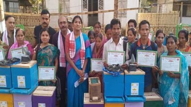 Assam: Effort to promote sweet revolution in Hailakandi