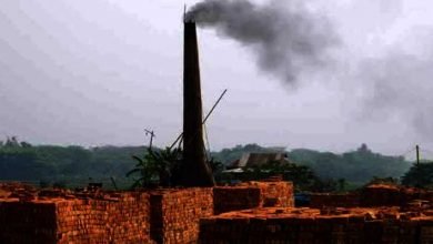 Assam: Brick kilns start functioning maintaining social distancing in Hailakandi