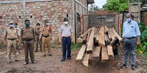 Assam: Massive crackdown on timber smugglers in Hailakandi, sizeable swan timbers seized