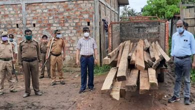 Assam: Massive crackdown on timber smugglers in Hailakandi, sizeable swan timbers seized