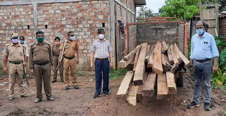 Assam: Massive crackdown on timber smugglers in Hailakandi, sizeable swan timbers seized