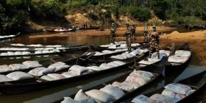 Meghalaya: BSF seized 58 wooden boats with 45,000 kgs of Dry pea