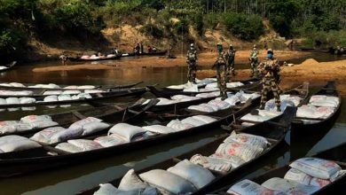 Meghalaya: BSF seized 58 wooden boats with 45,000 kgs of Dry pea