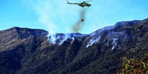 Nagaland: Operation continue to control Dzukou Valley wildfire