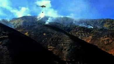 Nagaland: Operation continue to control Dzukou Valley wildfire