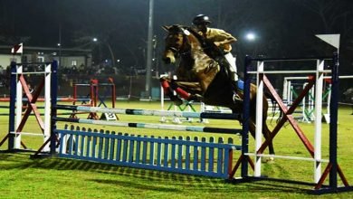 Cadets of 47 Assam R&V Squadron Shines in State Equestrian Championship