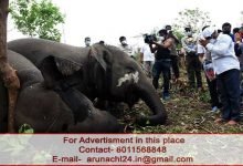 Assam Forest Minister orders enquiry in to death of 18 elephants in Nagon