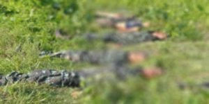 Assam: 6 DNLA militants killed in encounter with security forces