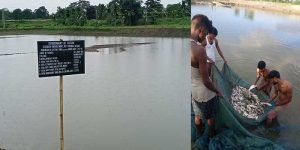 Assam on the way to becoming self sufficient on fish production front