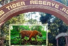 Assam: Minister Suklabaidya reviews status of Orang National Park