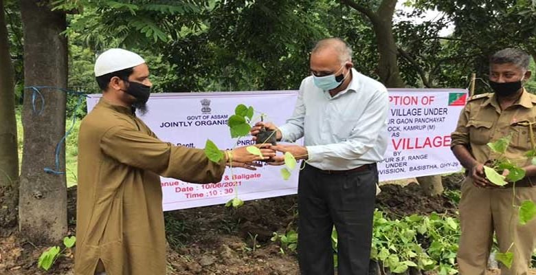 Assam: Kachutali in Sonapur adopted as Giloy Village