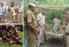 Timbers, sand, generator sets seized by forest personnel at different places of Assam