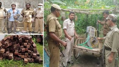 Timbers, sand, generator sets seized by forest personnel at different places of Assam