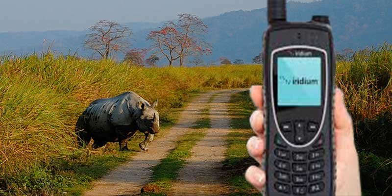 Assam: KNP personnel equipped with satellite phones; to give edge over poachers