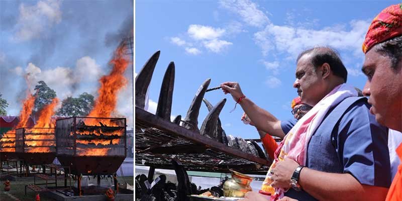 World Rhino Day: Assam CM burns 2479 seized Rhino horns at Kaziranga