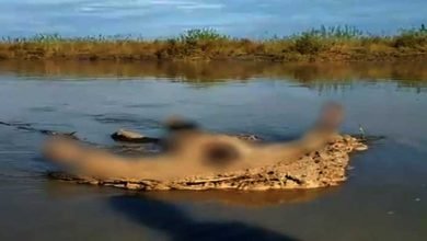 Assam Boat Capsized: Body Found 4 Days After Boats Collide In Brahmaputra