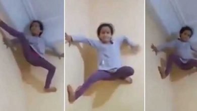 Spider Girl:  5-year-old girl climbs up a wall like Spiderman,  Watch Viral Video