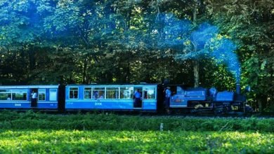 Assam: ‘steam jungle tea safari’ launched by NF railway gaining popularity amongst tourist