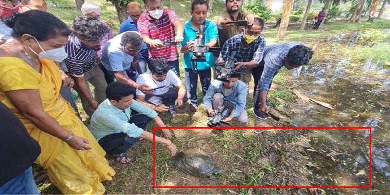 Assam: WTI’s veterinarian removes fishing hook swallowed by endangered turtle