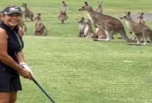 Viral video: A mob of kangaroos interrupt golfer Wendy Powick as she prepares to tee off
