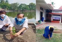 Assam: Sri Sathya Sai Seva Samithi cleanliness and tree plantation at Ugratara Devalaya