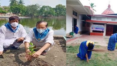 Assam: Sri Sathya Sai Seva Samithi cleanliness and tree plantation at Ugratara Devalaya