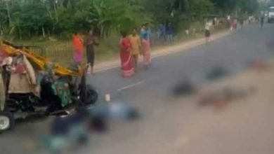 Assam: 9 People Returning from Chhath Puja Killed After Their Autorickshaw Rams Into Speeding Truck In Karimganj
