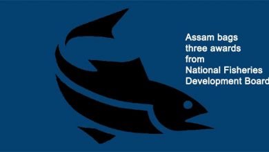 Assam bags three awards from National Fisheries Development Board