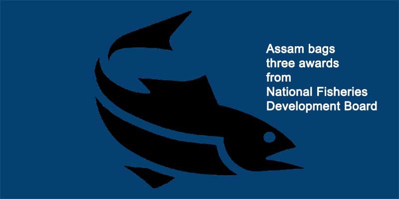 Assam bags three awards from National Fisheries Development Board