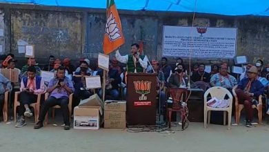 Mizoram: BJP CADC Stages Protest against Financial Mismanagement in CADC