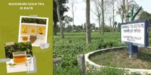 Assam: Manohari Gold Tea created history once again