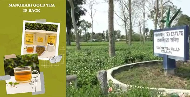 Assam: Manohari Gold Tea created history once again