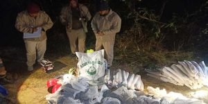 Mizoram: Security Forces Recover Huge Cache of Explosive in Saiha