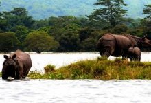 Assam floods: highlands constructed in Kaziranga for providing shelter to Animals